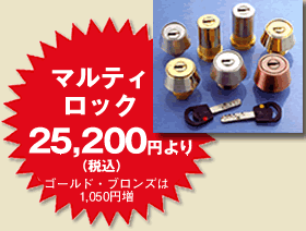マルティロック23100円より