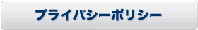 �ץ饤�Х����ݥꥷ��